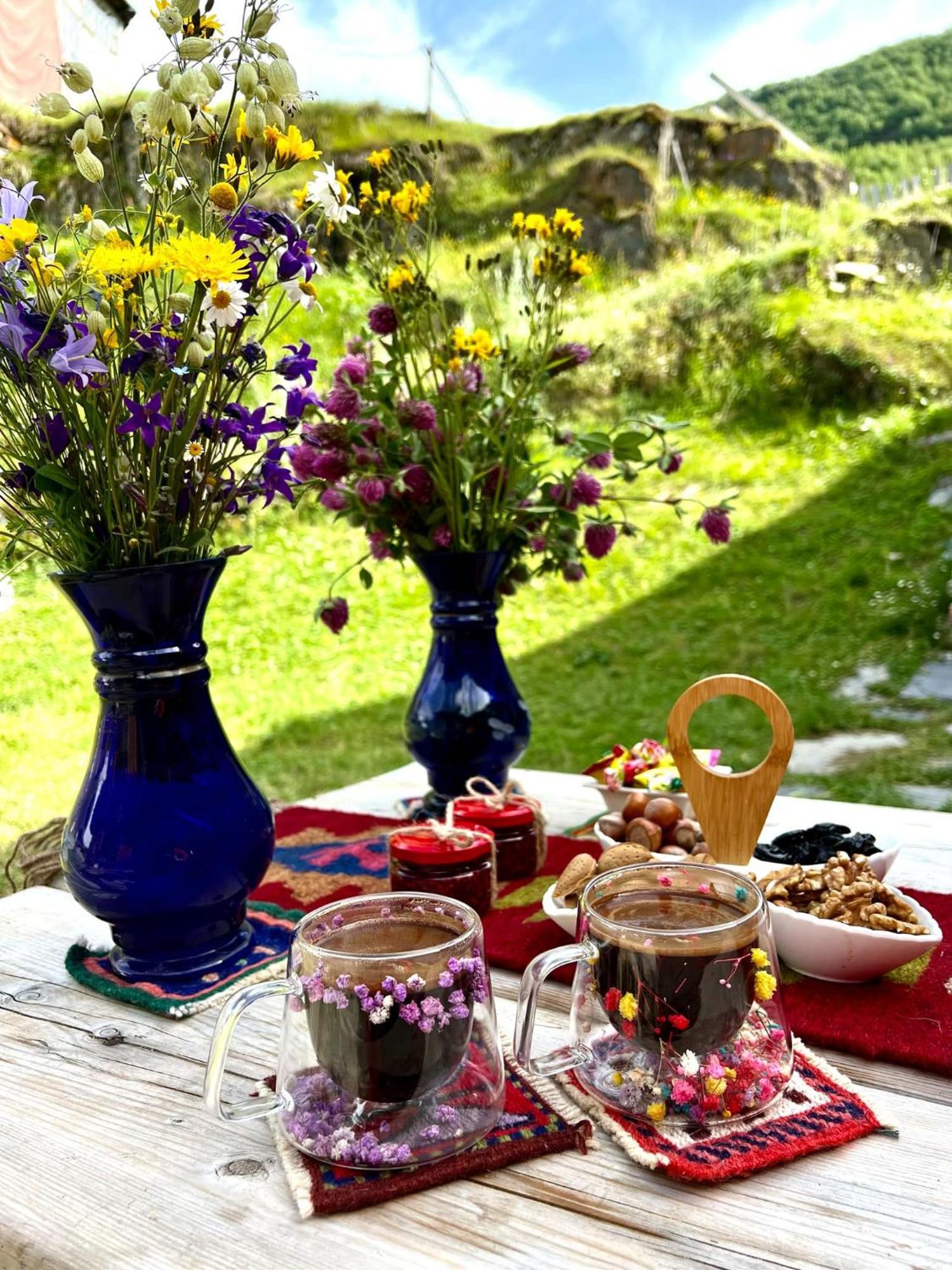 Ushguli 12 Century Hotel Bagian luar foto